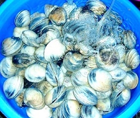 Vọp hấp lá sả, rau răm