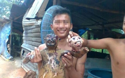 Rùng mình: Đại gia săn lùng 'thập toàn đại bổ'