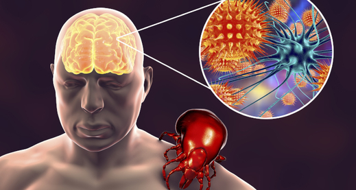 Kleszcze (bọ ve) có nguy hiểm đối với con người không?