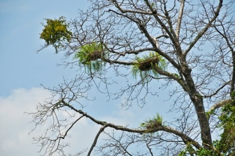 Bà Rá (Bình Phước) cuốn hút du khách bởi vẻ đẹp huyền bí