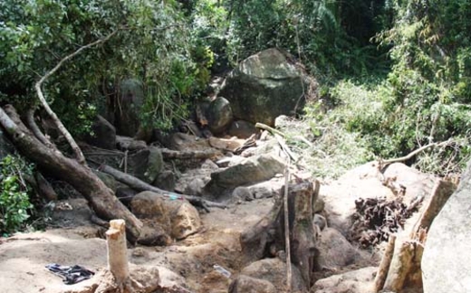 Quảng Bình: 5 người đi tìm trầm bị bắn chết trong rừng