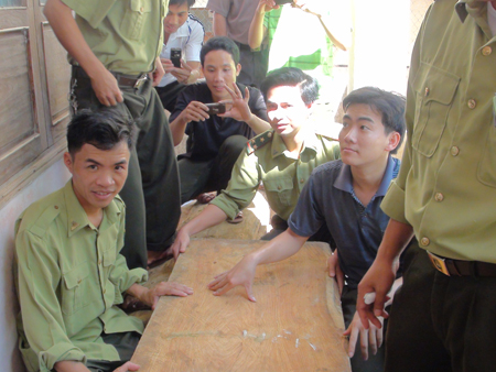 Vụ cây sưa trăm tỷ: 3 cán bộ kiểm lâm phải giải trình