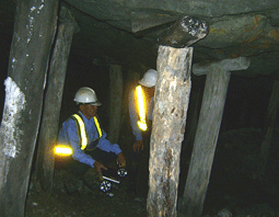 Quảng Nam: Những hạt vàng đãi từ... nước mắt