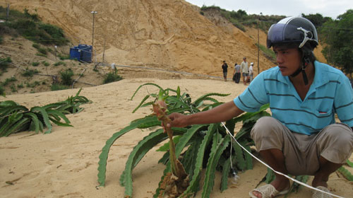 Tài nguyên, mạnh ai nấy đào