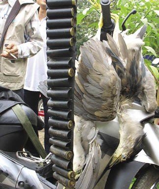 Chim cá tiến vua cùng khóc trong hũ rượu