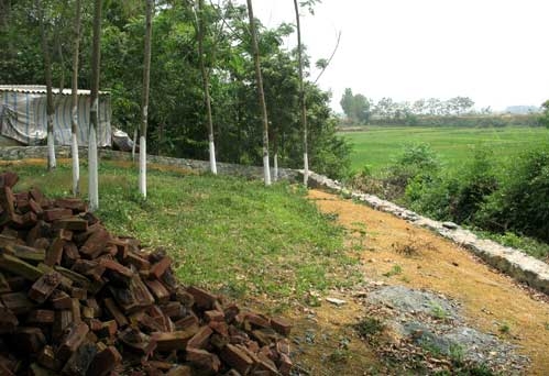 Cục Thuế Hà Nội phải báo cáo việc chuyển nhượng đất “sốt”