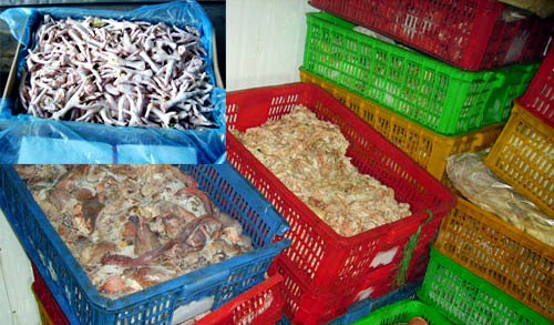 Tạm nhập tái xuất: Toàn hàng cấm, độc hại