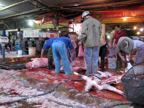 Bức xúc thực phẩm bẩn