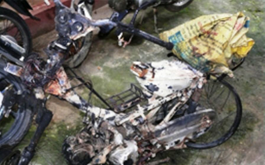 Đám đông cuồng sát và con chó vô tội