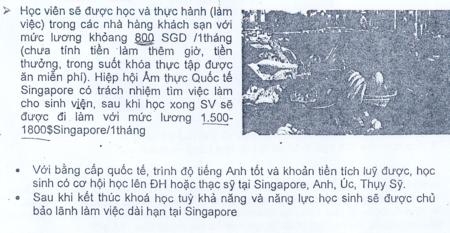 Đi du học bị trả về