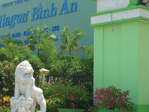“Chết” nhưng không chịu khai tử