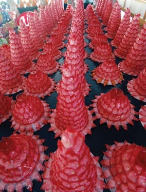 Cà Mau: Rộn ràng mùa lễ hội