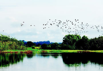 Thủy điện ồ ạt, đánh giá riêng lẻ!