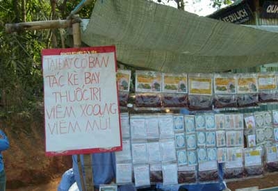 Rước họa vì chữa ung thư bằng tắc kè bay