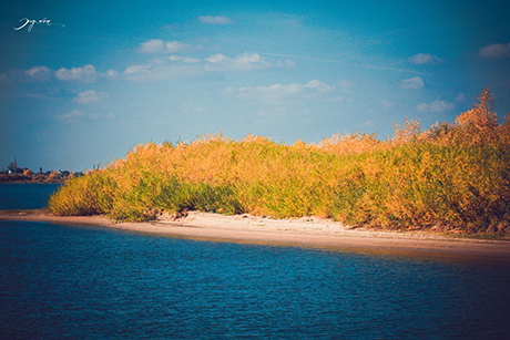 Mùa thu nước Nga tuyệt đẹp qua ống kính du học sinh Việt