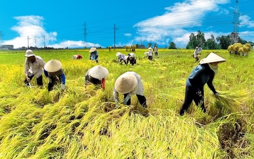 Sau 24 năm 'cường quốc', Việt Nam có gì?