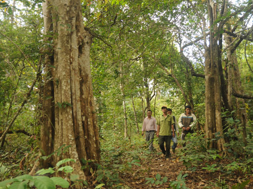 Thủy điện “nuốt” vườn quốc gia