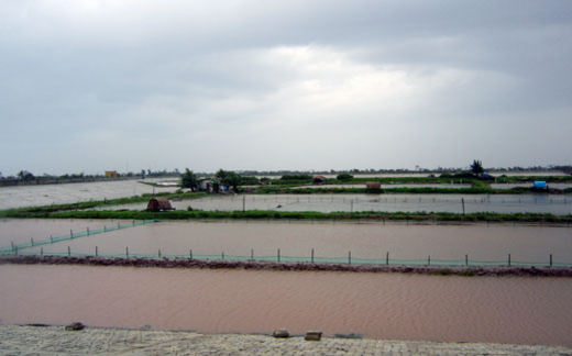 Hỏa hoạn, ngập lụt nặng và gãy cột viễn thông do bão Jebi