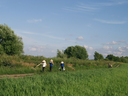 Người Việt thất nghiệp ở chợ Vòm đi về đâu?