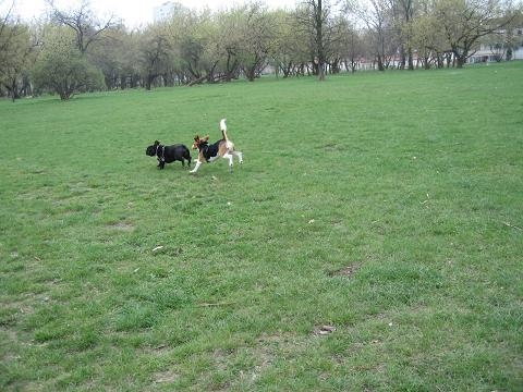 NGƯỜI BẠN NHỎ