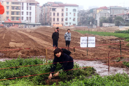 Hà Nội: Hàng trăm ngôi mộ biến mất trong đêm