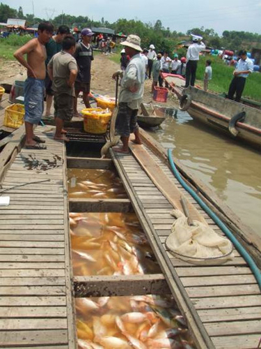 Tìm nguồn nước mới cho TP.HCM