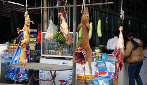 Cả năm 'mài dao', một mùa 'chém' du khách