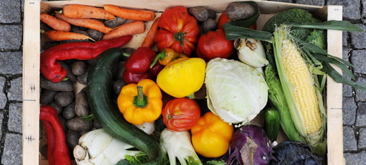 Tin vắn Ba Lan (8-10/8/2016)