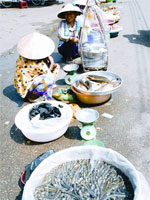 Cá kèo “chết” vì tin đồn ác ý