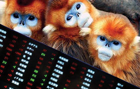 Chứng khoán và con khỉ