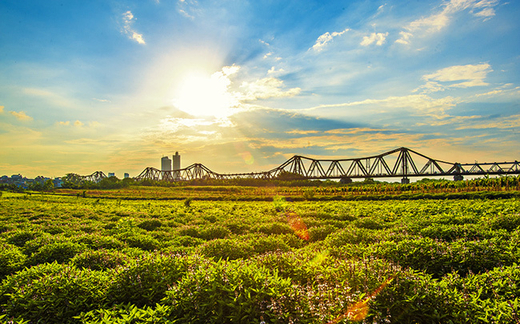 'Không nên đụng tới cầu Long Biên'