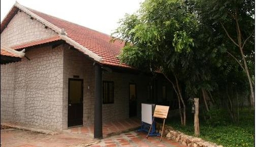 Giáo dục đại học "rơi tự do" đến bao giờ?