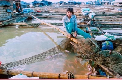 Báo động ô nhiễm trên sông Đồng Nai