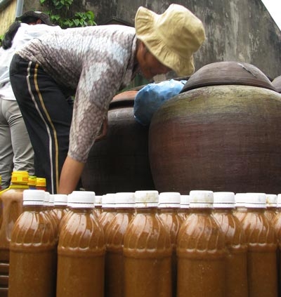 Một lần về làng “bần” Yên Nhân