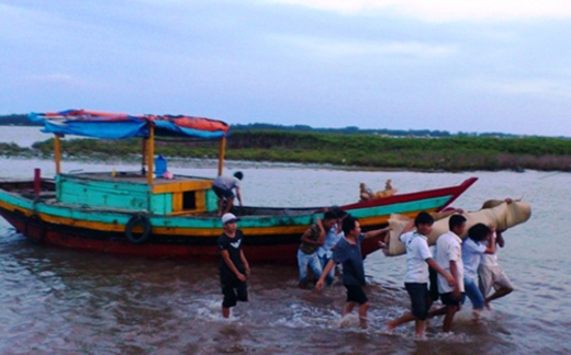 Hỗn chiến vì ngao