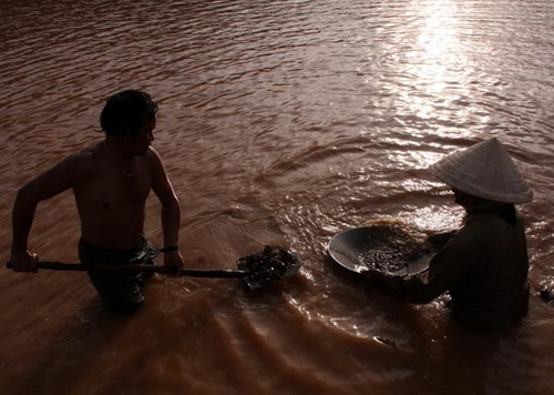 Dầm mình đãi vàng trên sông Pô Kô
