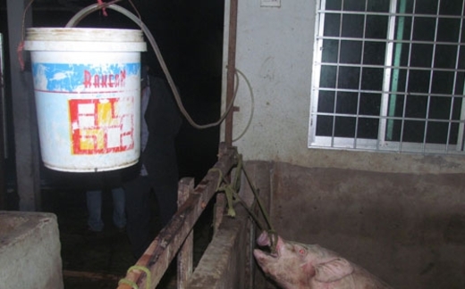 Kinh hoàng trộn đất, đá, sắt vào thực phẩm kiếm lời