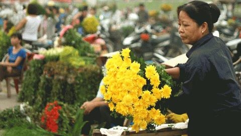 Siết nhập cư, dân Thủ đô có nhiều cơ hội mua nhà?
