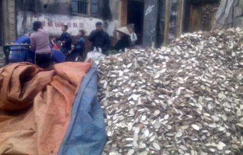 Rượu từ nước lã pha cồn