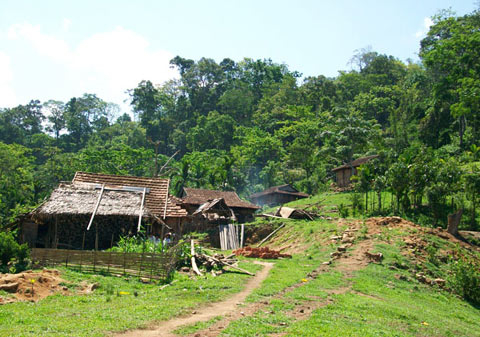 "Đồ thuốc độc" nơi đại ngàn và những uy lực rợn người