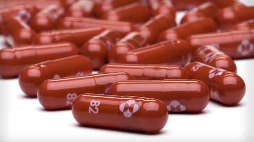 Thuốc chống COVID-19 Molnupiravir sẽ đến Ba Lan vào giữa tháng 12