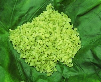 Đầu độc một nét Thu Hà Nội