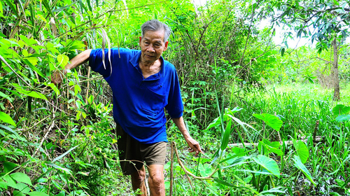 Gia hạn dự án, dân khổ trăm bề