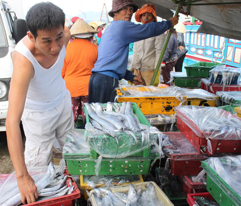 Kiến nghị hạn chế phạm vi thu mua hải sản của tàu Trung Quốc