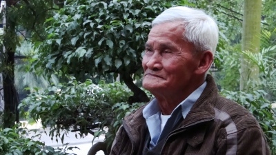 "Chỉ mấy ông về hưu dám lên tiếng thôi"