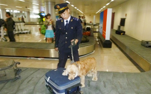 Hải quan "đòi" tăng thẩm quyền điều tra