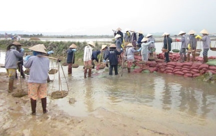 Khánh Hoà: Chục nghìn tấn muối "nằm đồng" chờ... lũ