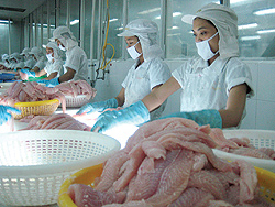 Cá tra trong danh sách đỏ của WWF: Cạnh tranh không lành mạnh