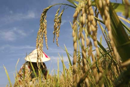 Việt Nam và lựa chọn mô hình phát triển khác Trung Quốc