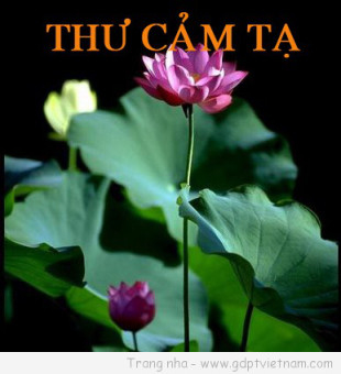 Lời cảm tạ của gia đình anh Lê Văn Hiến.